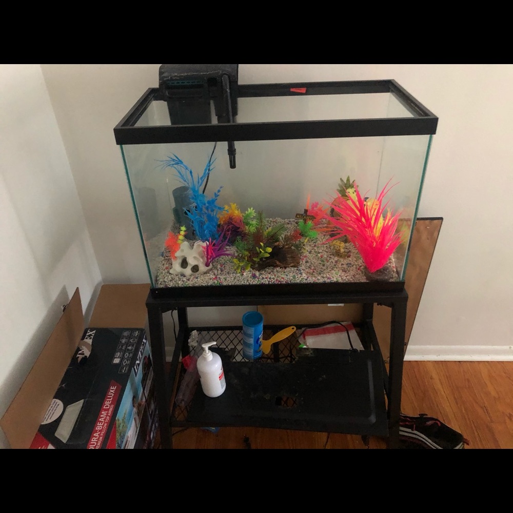 Fish tank with stand - Picture 3 of 3